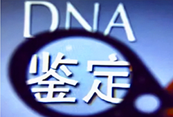 宁波亲子鉴定服务机构在哪里，宁波亲子鉴定需要的条件和材料有哪些