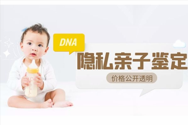 宁波想办理隐私亲子鉴定要如何办理,宁波想做隐私亲子鉴定办理流程指南