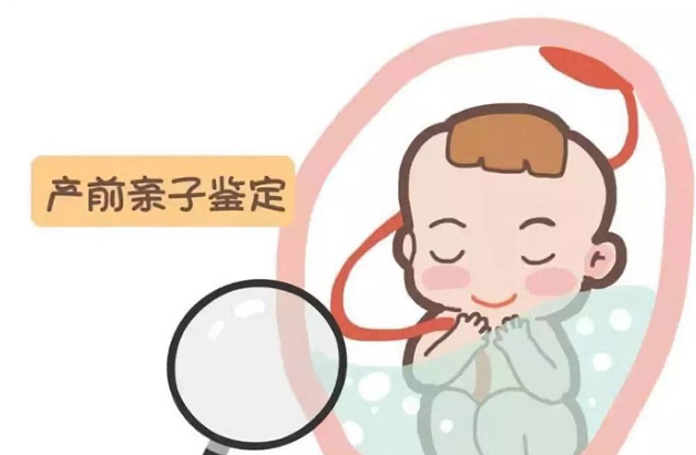 宁波怀孕亲子鉴定大概价格,宁波怀孕亲子鉴定如何办理
