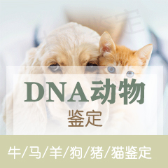 宁波动物鉴定